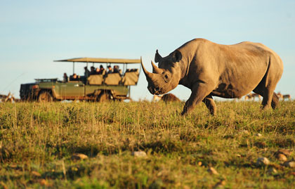 featured-southafrica